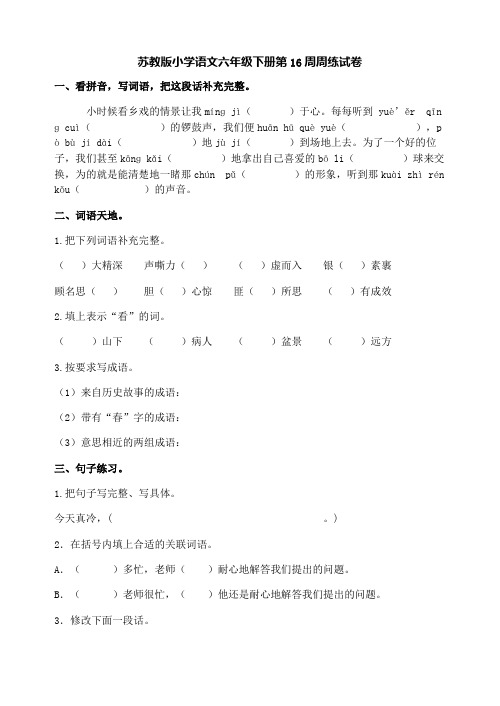 苏教版六年级语文下册第16周周练试卷