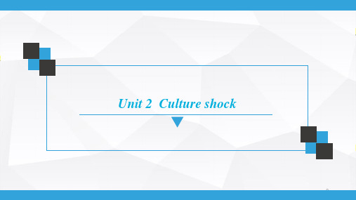 2020英语九年级下册(牛津版)-下册  Unit 2  Culture shock