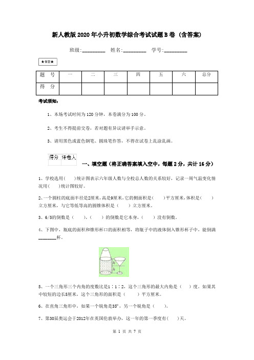 新人教版2020年小升初数学综合考试试题B卷 (含答案)