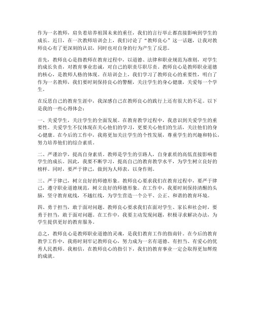 教师良心指责心得体会