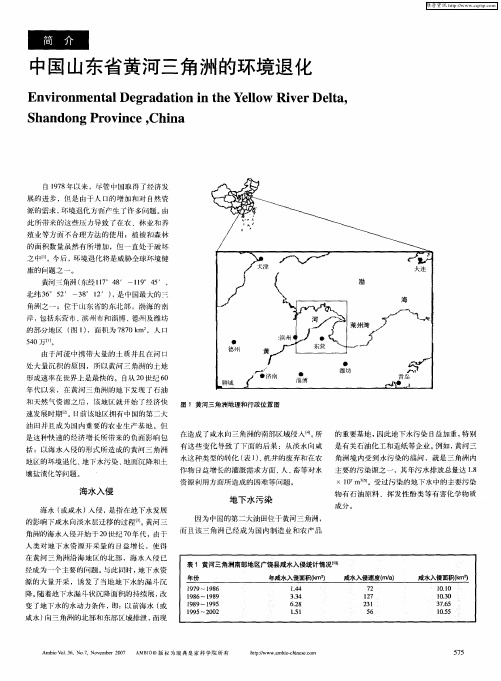 中国山东省黄河三角洲的环境退化