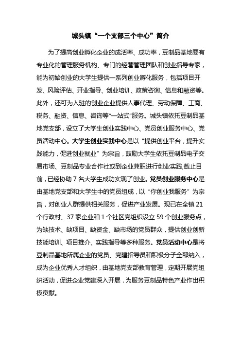 一个支部三个中心简介