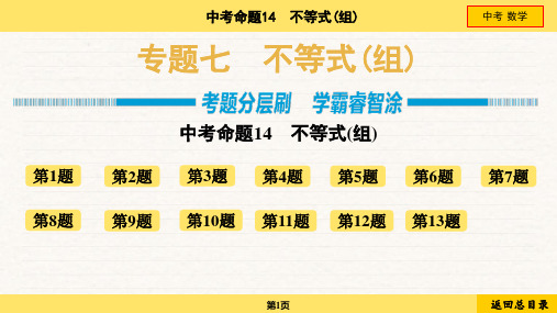 2024年中考数学总复习专题07不等式(组)命题14不等式(组)