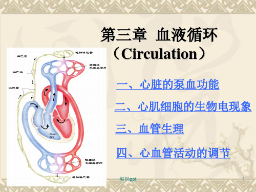 心血管活动的调节