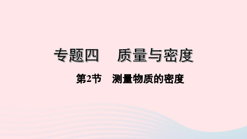 湖南省2020年中考物理一轮复习专题四质量与密度第2节测量物质的密度课件