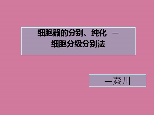 细胞器的分离、纯化实验ppt课件