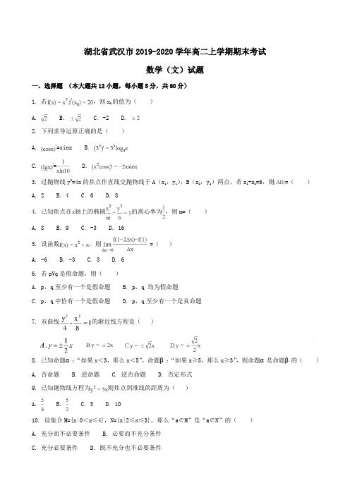 湖北省武汉市2019-2020学年高二上学期期末考试数学(文)试题Word版含解析