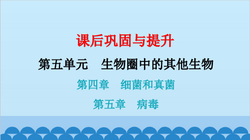 2024年中考生物一轮复习 第五单元第四章 细菌和真菌 第五章 病毒课件