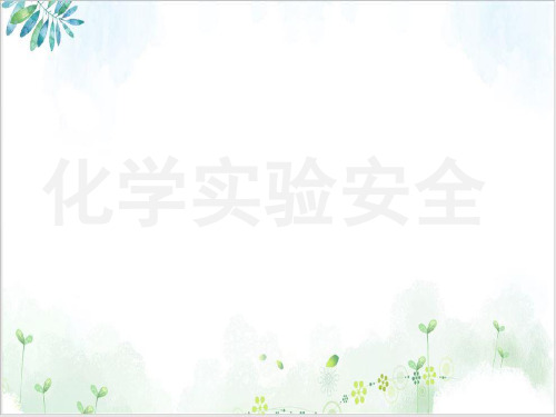【人教版】化学必修化学实验基本方法PPT
