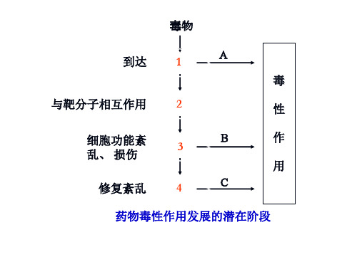 药物毒性作用及其机制