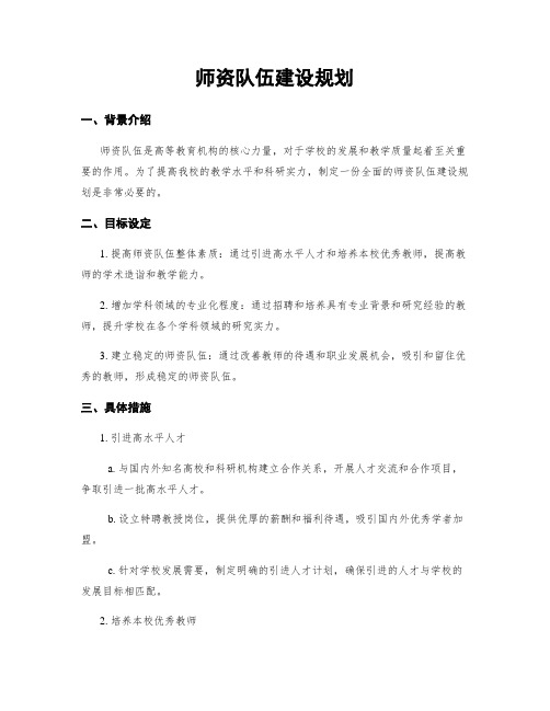 师资队伍建设规划