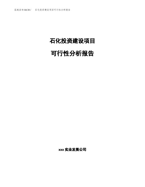 浙江石化投资建设项目可行性分析报告