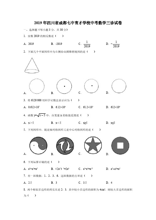 2019年四川省成都七中育才学校中考数学三诊试卷(含答案和解析)
