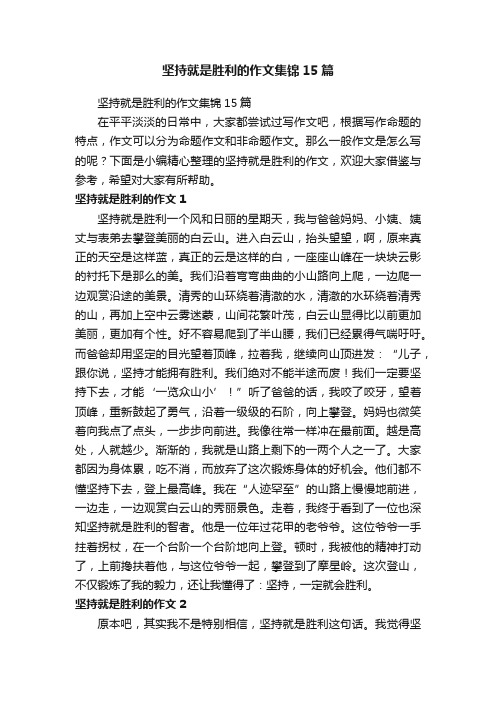 坚持就是胜利的作文集锦15篇