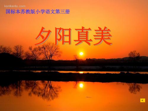 小学二年级上学期语文《夕阳真美》优质课PPT课件