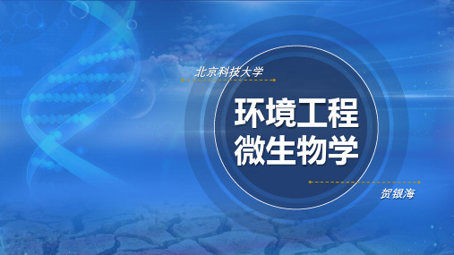 02-6.2 厌氧处理与水解酸化 课件