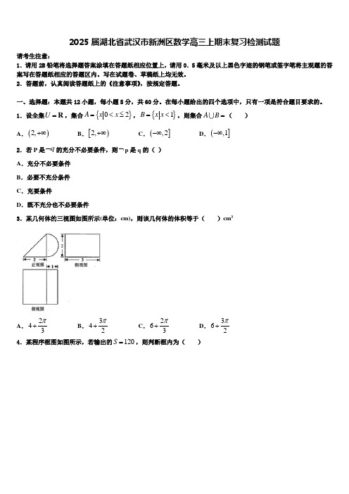 2025届湖北省武汉市新洲区数学高三上期末复习检测试题含解析