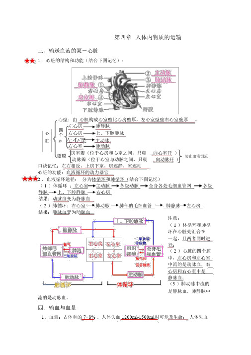 人教版七年级生物下册4-6章知识点总结