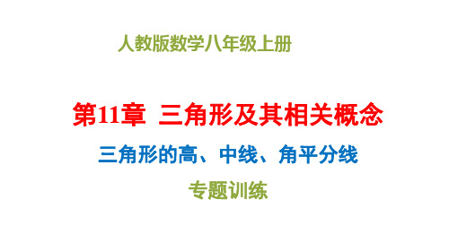 人教版数学八年级上册  三角形的高、中线、角平分线   专题训练