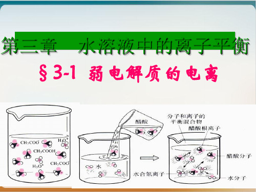 人教版化学选修四弱电解质的电离