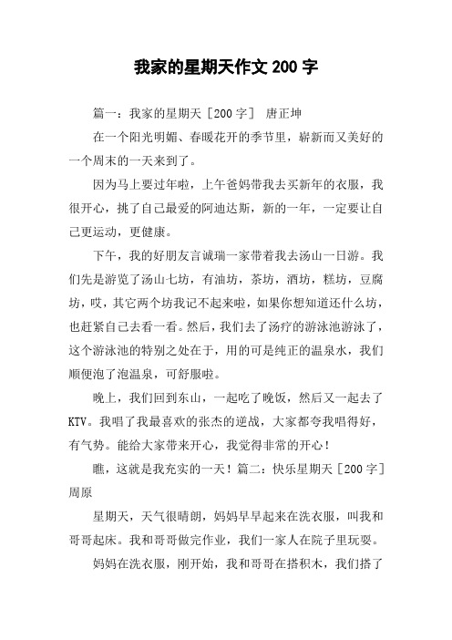 我家的星期天作文200字