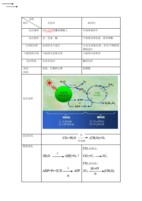 光合作用两个阶段的对比