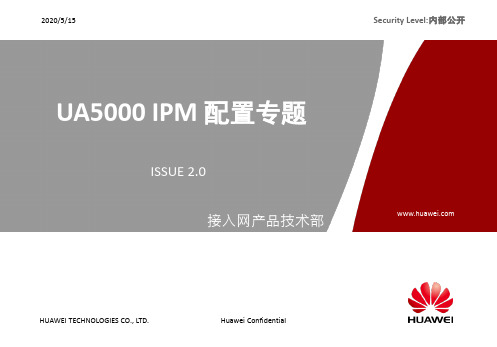 UA5000 IPM 配置手册