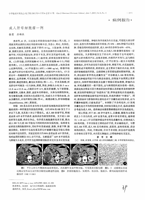 成人肝母细胞瘤一例