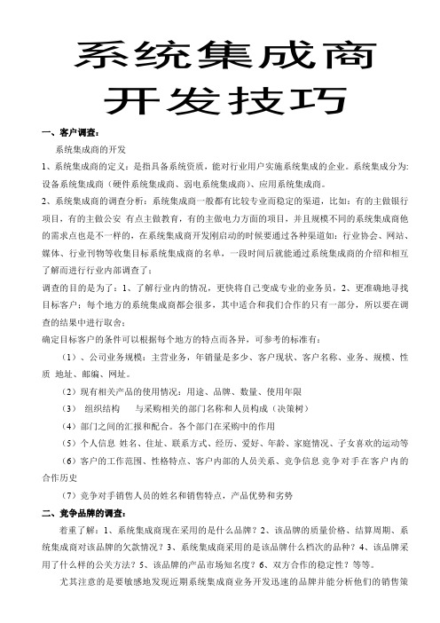 系统集成商开发技巧