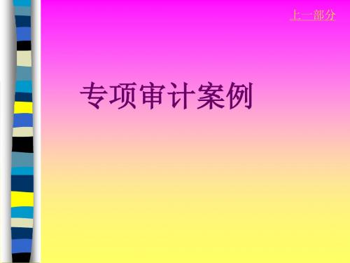 专项审计案例