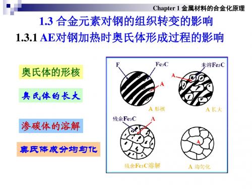 金属材料合金化原理