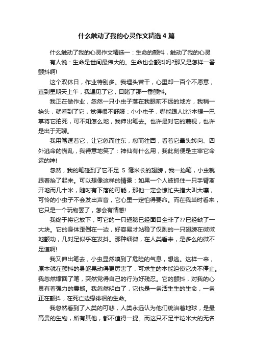 什么触动了我的心灵作文精选4篇