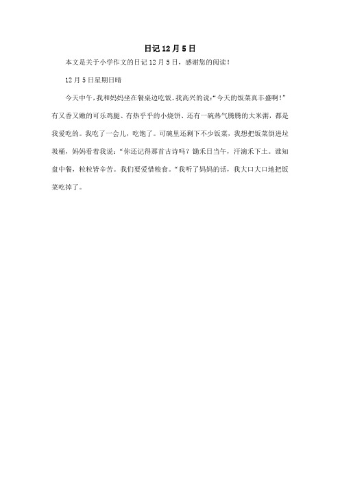 日记12月5日_小学作文