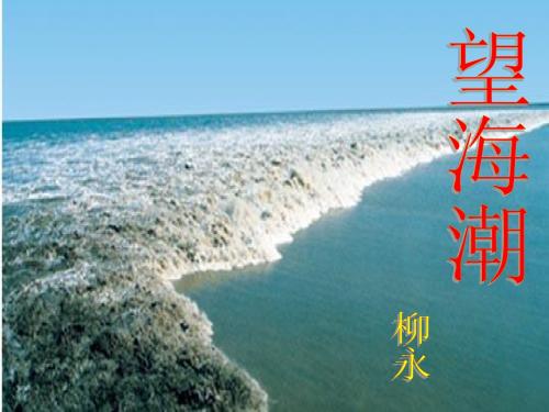 《望海潮》最新高效