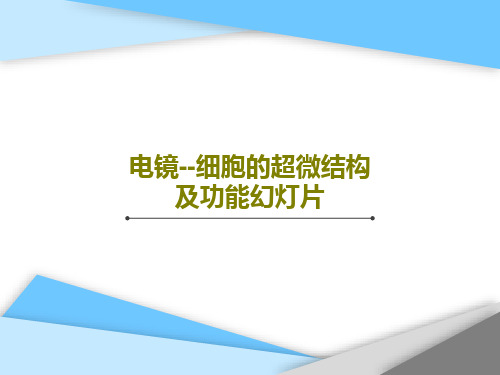 电镜--细胞的超微结构及功能幻灯片40页文档