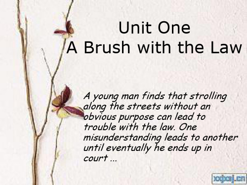 大学英语精读第三册 Unit 1 A_Brush_with_the_Law