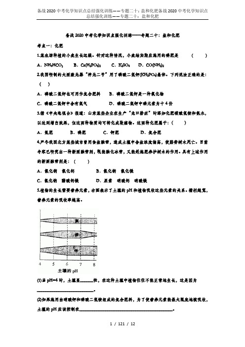 备战2020中考化学知识点总结强化训练——专题二十：盐和化肥