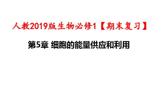 人教2019版生物必修1【期末复习】：第5章 细胞的能量供应和利用