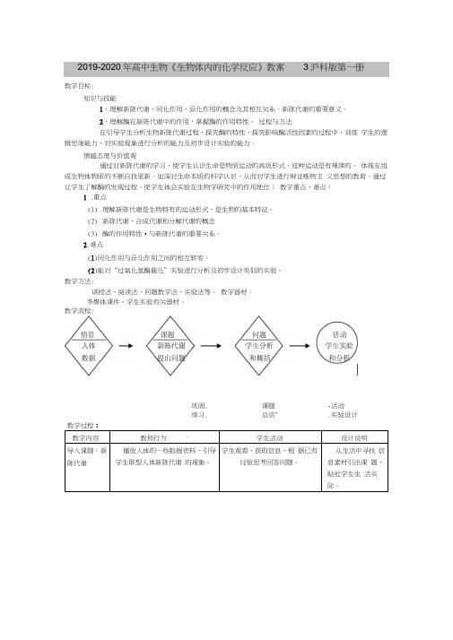 2019-2020年高中生物《生物体内的化学反应》教案3沪科版第一册