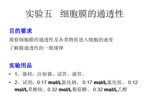 实验五细胞膜的通透性