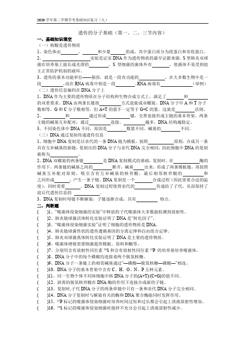 高中生物：基础知识复习(九)——遗传分子基础