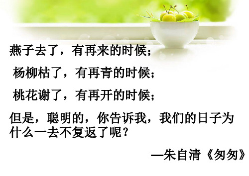 《捉不住的鼬鼠》课件