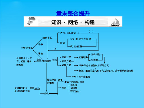 高三生物一轮复习课件《课堂新坐标》人教版必修一第六章章末整合提升