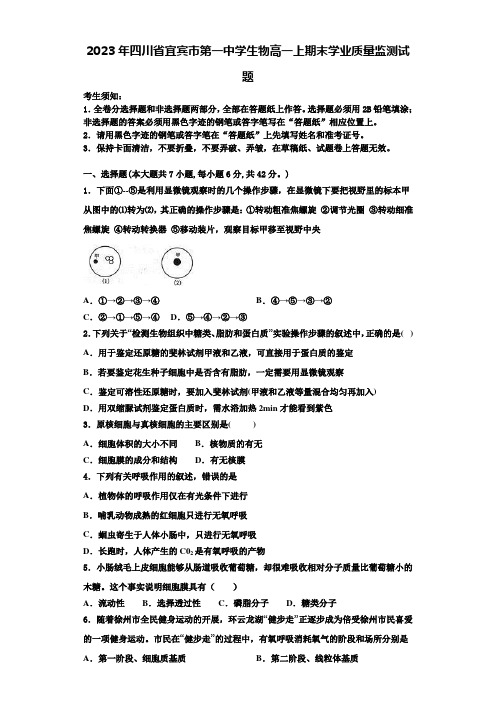 2023年四川省宜宾市第一中学生物高一上期末学业质量监测试题含解析