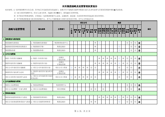 集团权责手册(战略及运营管理权限)