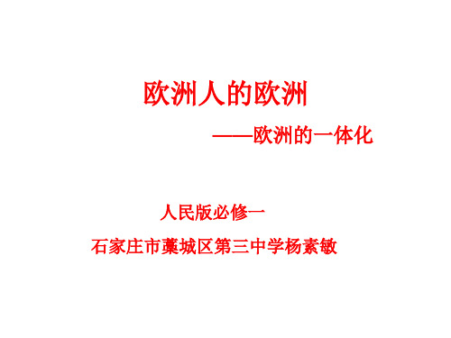 高中历史必修一《专题九当今世界政治格局的多极化趋势二新兴力量的崛起》84 (2)