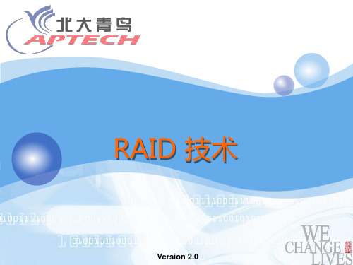 RAID技术 详解