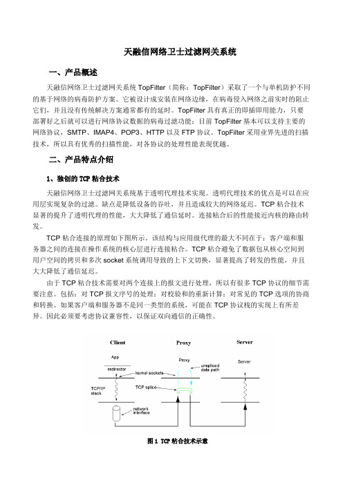 天融信网络卫士过滤网关系统TopFilter系列