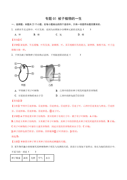 专题05 被子植物的一生(解析版)-2024年中考生物一轮复习热点专题精练