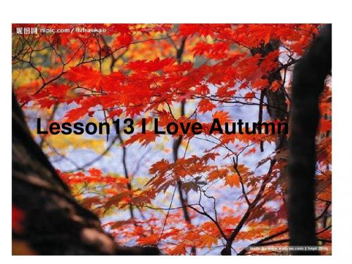 Lesson13-I-love-autumn(2013版)